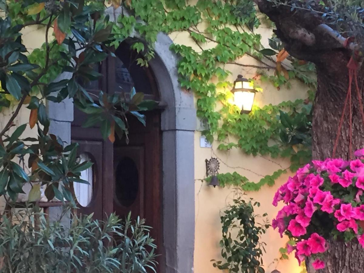 Il Sole Del Sodo Casa de hóspedes Cortona Exterior foto