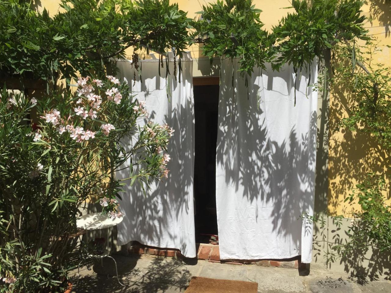 Il Sole Del Sodo Casa de hóspedes Cortona Exterior foto