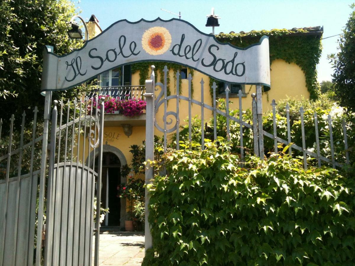 Il Sole Del Sodo Casa de hóspedes Cortona Exterior foto